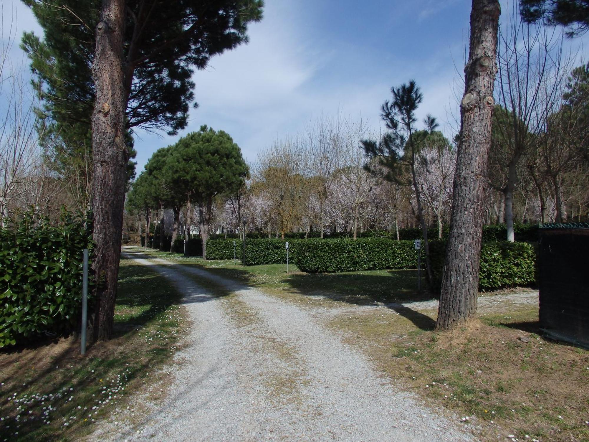 Camping Village La Chiocciola Capannole Exterior foto